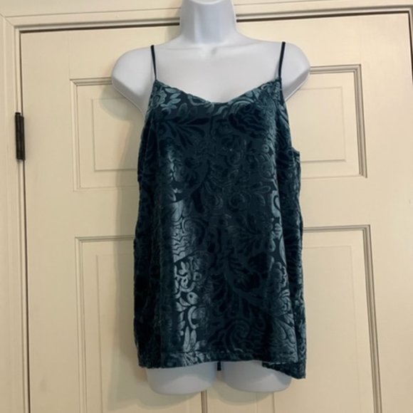 Black Swan Tops - 𝅺NWT Black Swan Teal velvet spaghette strap gorgeous blouse